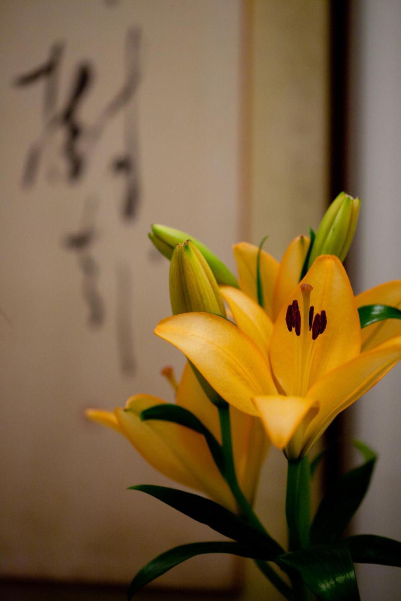 Kimi Ryokan Prefektura Tokio Exteriér fotografie